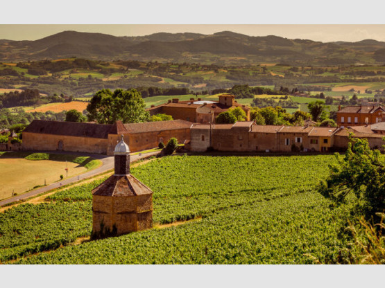 Les beaujolais de l’été, nos portraits